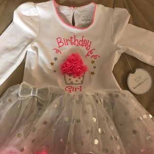 Birthday Girl Pink Long Sleeve Party Dress NWT